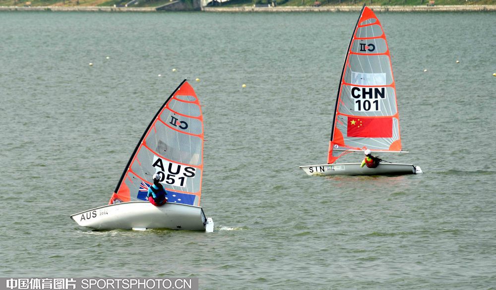 W_9101076_17080720_zld.jpg