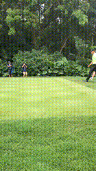父亲.gif