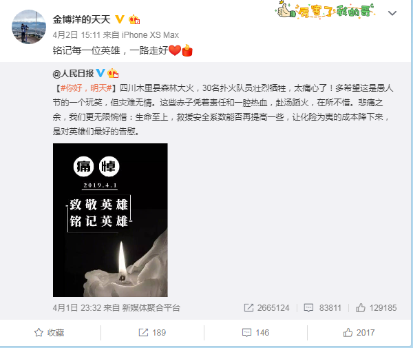 金博洋.png